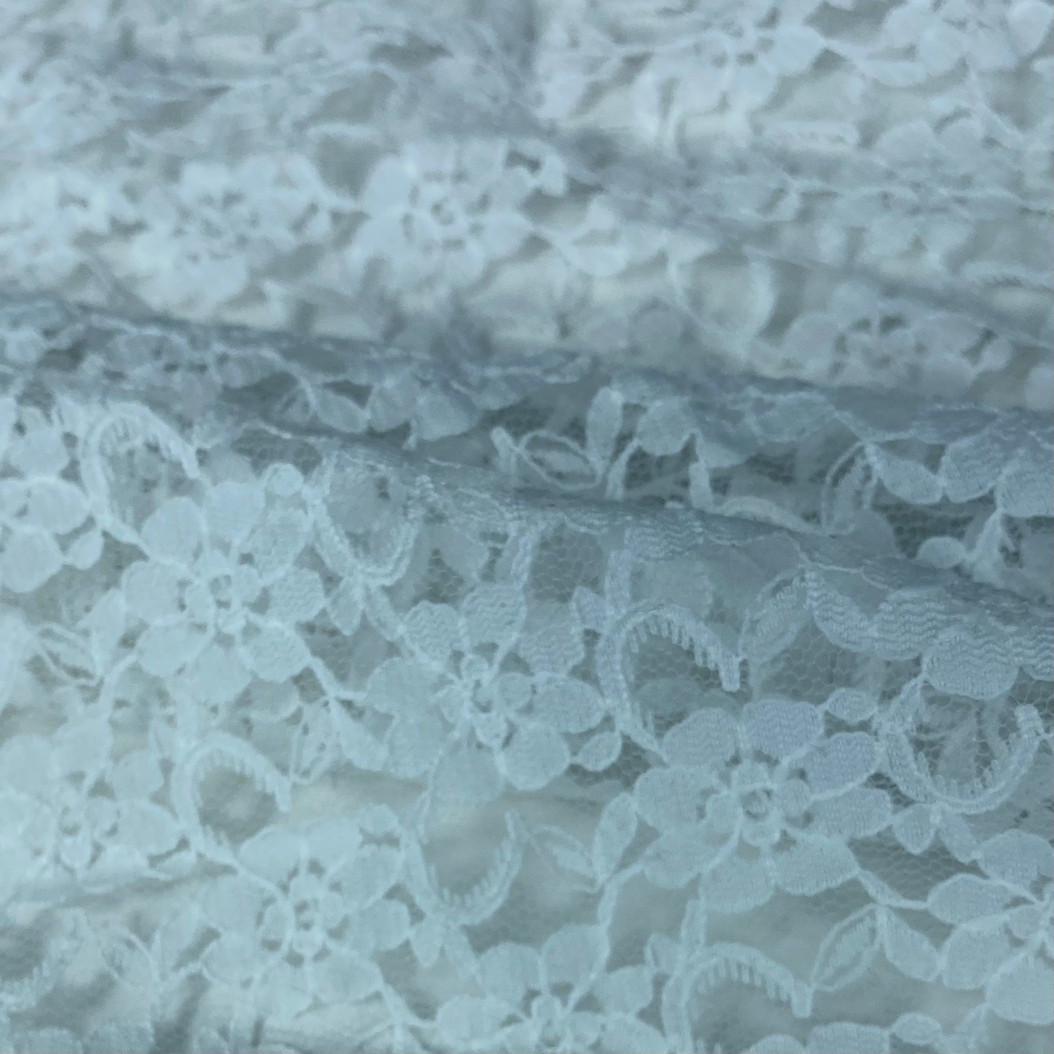 Floral Corded Lace - White